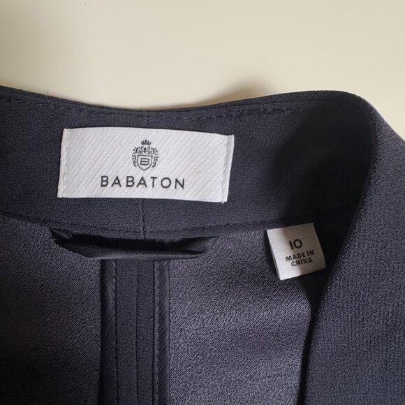 Aritzia Babaton New Power Blazer - Picture 13 of 16